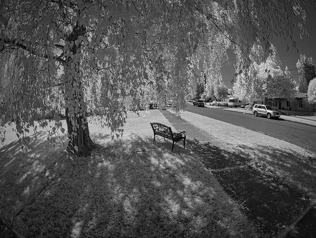 Happy Bench Monday Infrared