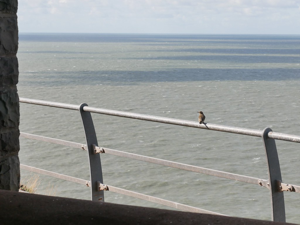 Hurlstone Point, the coastguard lookout.