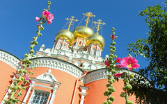 Holy Russia, Moscow Nature and Architecture, Flowers of Alcea Rosea or Hollyhock (Málva, Malvaceae) bloom under Golden Cupolas of the Resurrection Church in Kadashi, 2nd Kadashevsky Lane, Zamoskvorechye district. Православнаѧ Црковь.
