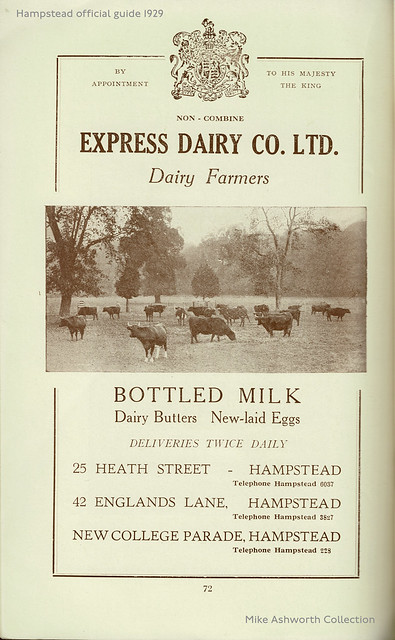 Express Dairy Co. Ltd., London : adverts in Borough of Hampstead Official Guide, 1929 : Express Dairy shops, Hampstead
