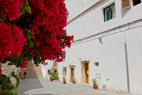 Paseando por Dalt Vila. - Ibiza/Eivissa y Formentera en 8 días. (31)
