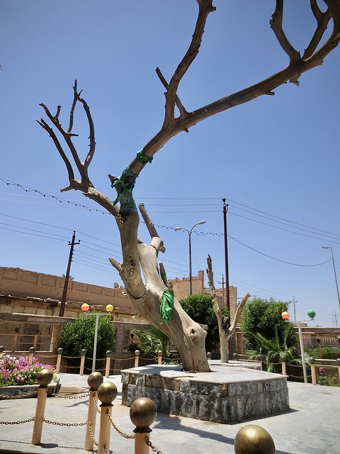 Iraq - العراق (Adam's Tree)