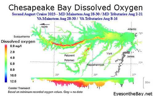 Map of Chesapeake Bay dissolved oxygen, late August 2023