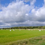 16. September 2023 - 12:07 - Finnish countryside