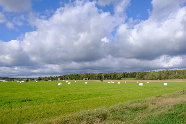 Finnish countryside