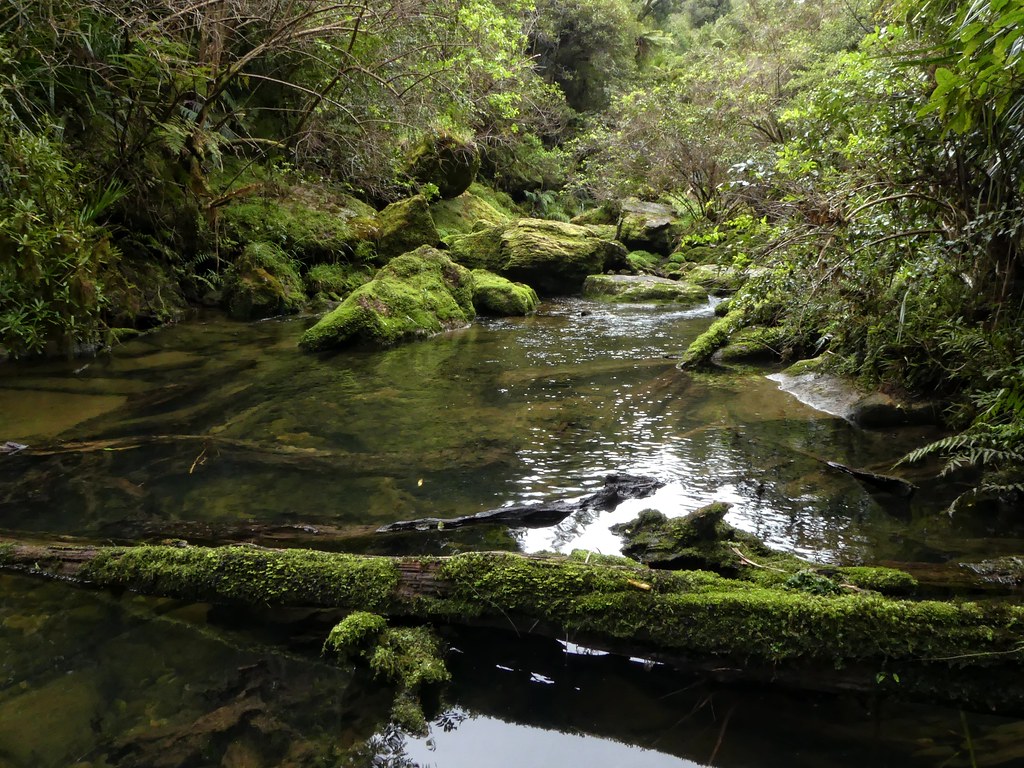 Bullock Creek ~ Punakaiki