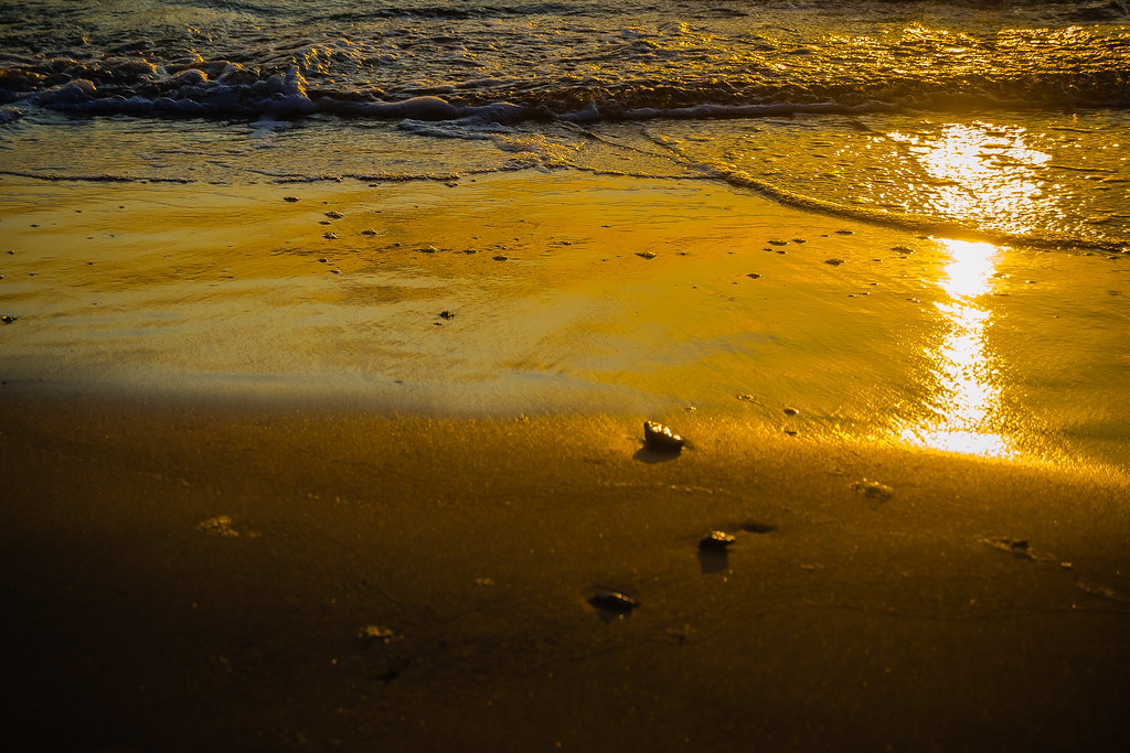 Moody colors and reflection  золотой осенний закат на море