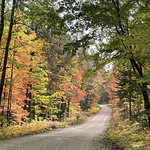 20230925-FS-Hiawatha-JK-001 A classic view of a dirt forest road in autumn, winding through trees with leaves of yellow, green orange, and red. USFS photo by Jim Krueger.