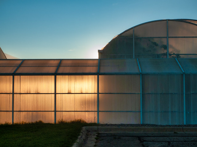 MSU greenhouses