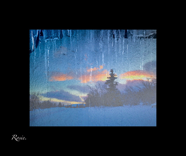 Sunset through Icicles