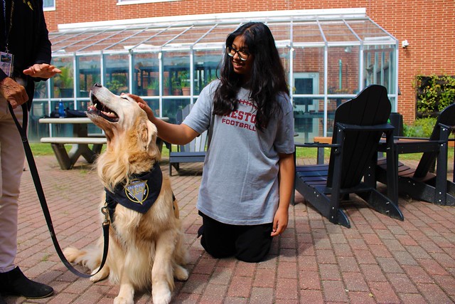 Therapy dogs for Wellness Wednesday