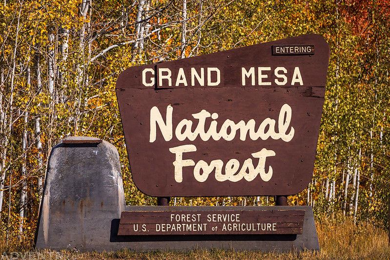 Grand Mesa National Forest Sign