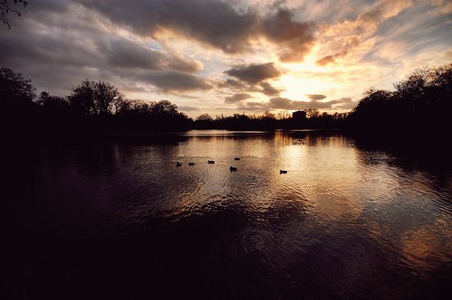 20120122 Whiteknights Lake by [Ananabanana], The <a href="https://www.flickr.com/photos/ananabanana/albums/72157623582199642">sun sets</a> over <