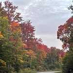 20230925-FS-Hiawatha-JK-002 Many colorful leaves grace this forest road against a blue sky with white and pink clouds. USFS photo by Jim Krueger.