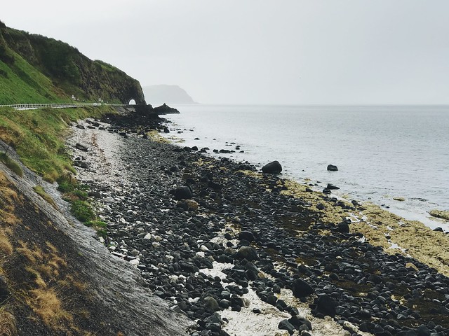 Northern Ireland coast