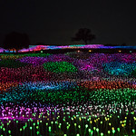 Sensorio Paso Robles | Bruce Munro: Light at Sensorio Sensorio invites you to see Paso Robles through a colorful new hue. Here art, technology, and nature intersect to create a spectacular entertainment destination located in the heart of Wine Country. Sensorio was created by locals Ken and Bobbi Hunter as a destination for entertainment, exploration, meditation, adventure, and delight, honoring the natural topography of the landscape and intended to offer a wide range of amusing, mystical and kinetic experiences. They commissioned internationally acclaimed British artist Bruce Munro to create a sensory experience that goes beyond visual artistry to offer visitors a walkthrough kinetic adventure.  Since its installation, Sensorio has become one of Paso’s most popular attractions for visitors. Acclaimed nationwide and internationally, Sensorio was featured in The New York Times as # 6 in ​“50 Places to Vis-it in 2020” and referred to as “stunning” by Smithsonian Magazine, while The Guardian noted that Munro had accomplished his artistic goal, as “Sensorio is art you feel, rather than art you view.” 

