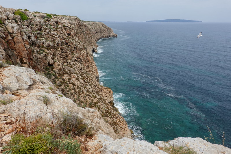 Formentera: Punta Prima, Cap Barbaria, Cala des Mort, Ses Illetes. - Ibiza/Eivissa y Formentera en 8 días. (36)