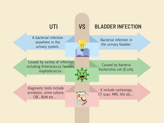 What is the difference between UTI and Bladder Infection?