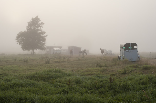 Sunrise with horse trailer in field