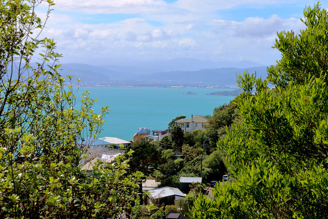 Wellington Harbour from Mount Victoria  .