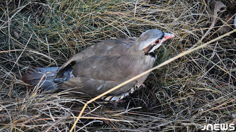 Дизайн без названия - 1