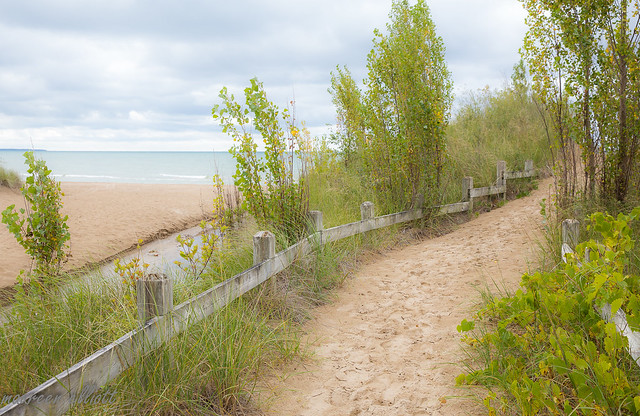 A Path to The Beach
