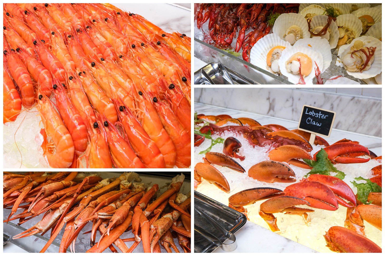 seafood (1)