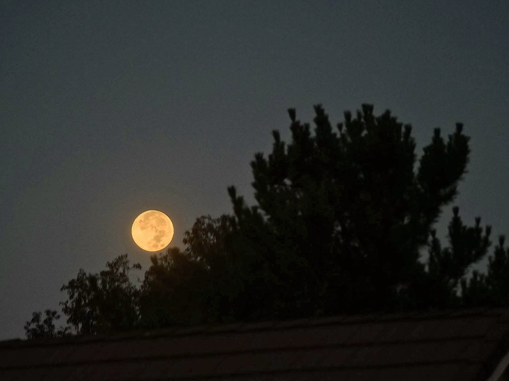 September 29 | The Harvest Moon, our last Super Moon of the … | Flickr