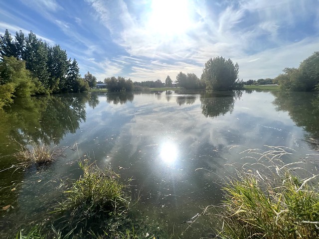 Pond near my House - Sept. 2023