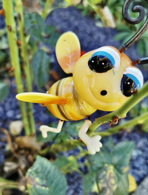 Happy Little Bee!
