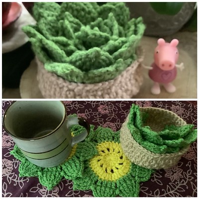 Cathy (MCatherineL) made this Succulent Plant Pot Coaster Set designed by Beuns Biavati.