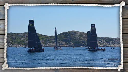 1 Black sail race | by andanthe andanthe