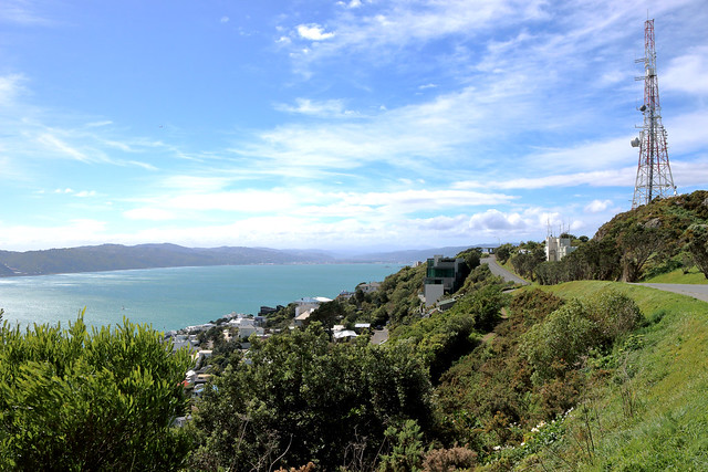 Wellington Harbour NZ .