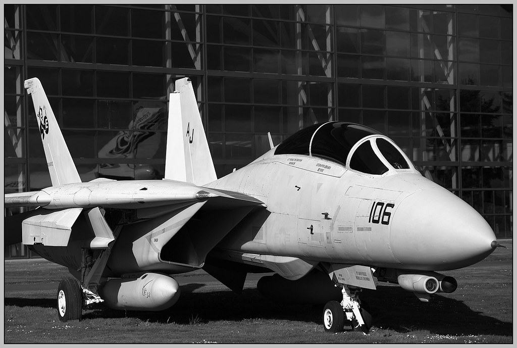 IMG_8126 Grumman F-14D Tomcat