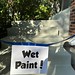 Painting our front steps … #wetpaint