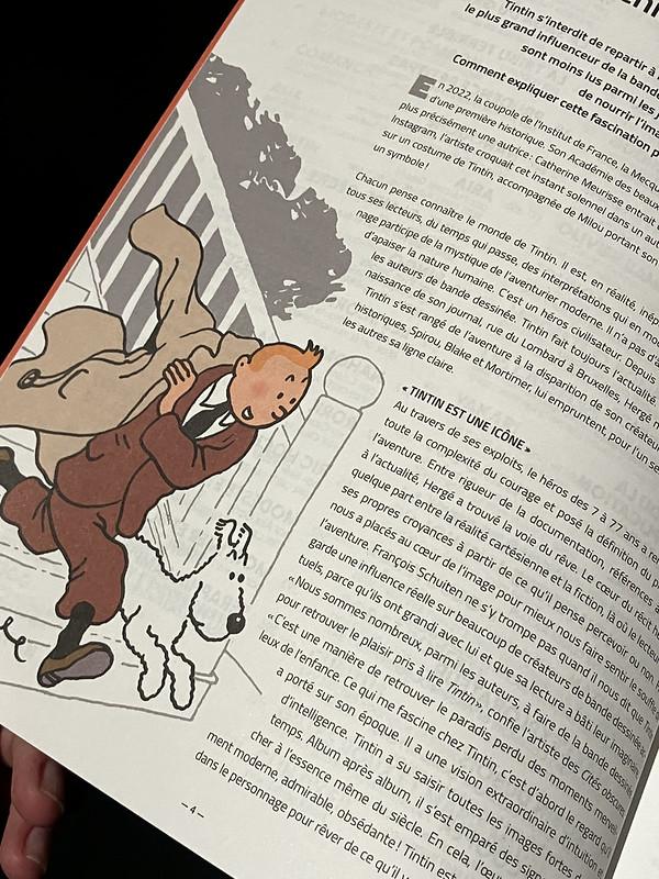 Tintin, l'hommage des auteurs et autrices d'aujourd'hui aux personnages mythiques du journal Tintin