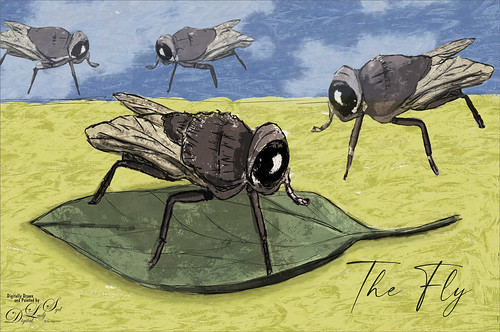 Drawn image of some flies