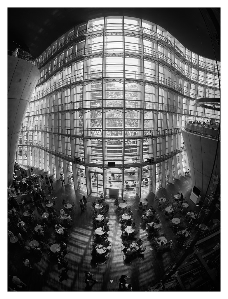 THE PORTRAIT of the national art center tokyo - 2
