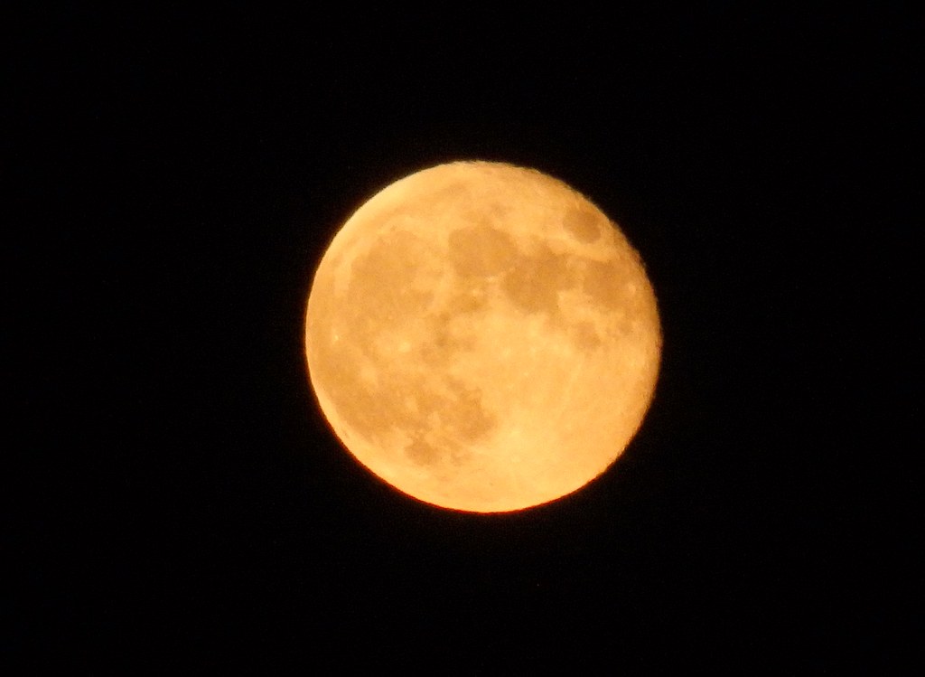 La Luna llena, de la Cosecha 2023 😊 30/09/2023 21,00