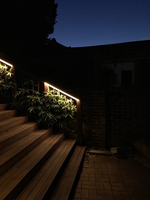 stairs at dawn