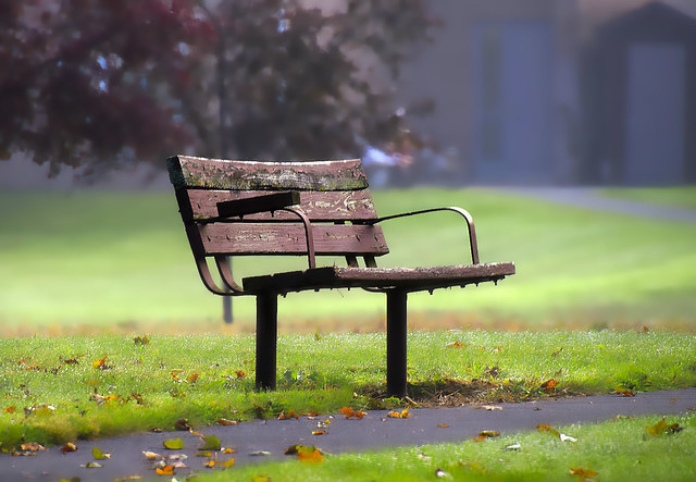 The Old Bench In The Fog-HBM