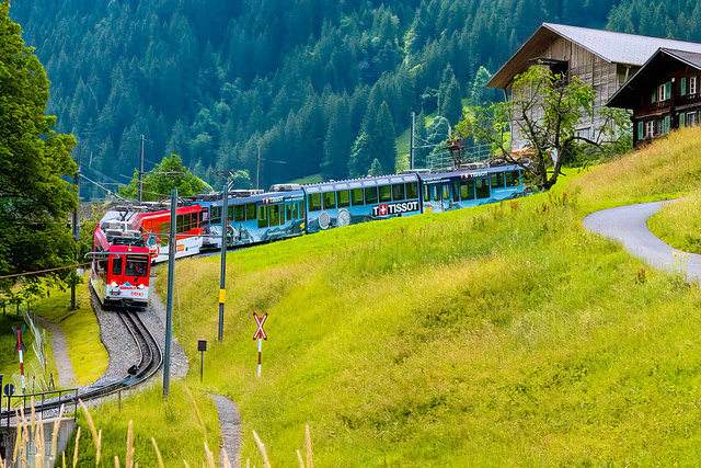 Alpine Train