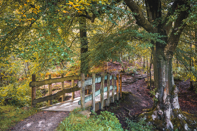Rustic Bridge and Path into the Wood.
