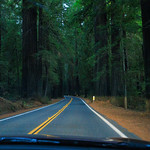 Driving Through the Forest at Dusk Humboldt Redwoods State Park in Northern California