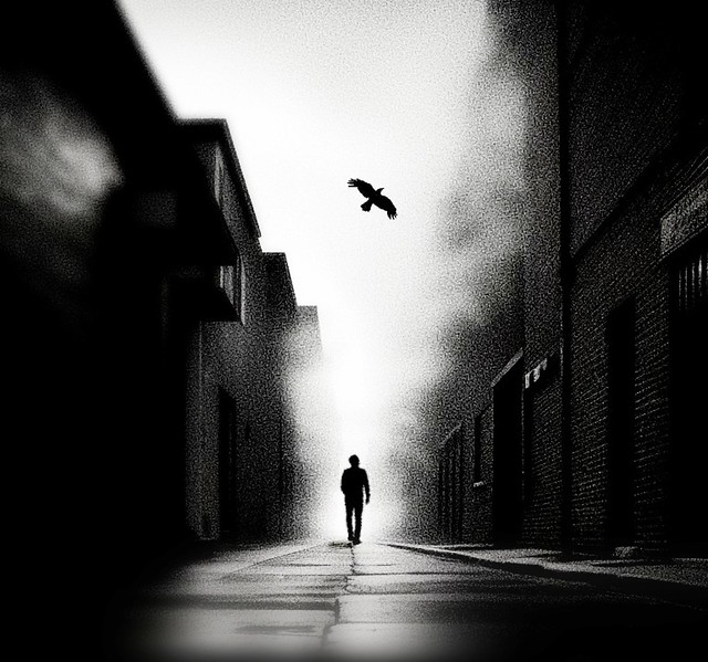 ~man & crow in the alley~