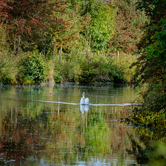 Autumn Colours - skipton canal Yorkshire