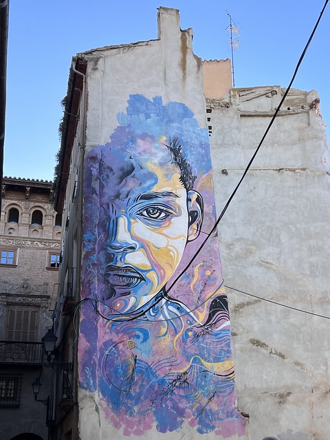 Streetart by C215 in Tuleda, Spain