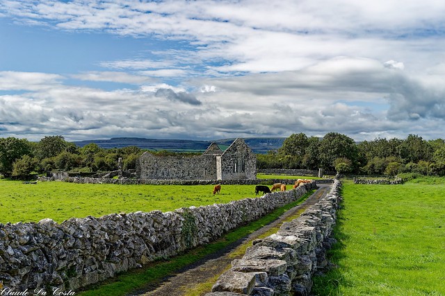 Cill Mhic Dhuach (Kilmacduagh), Irlande