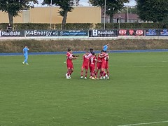 Viktoria Berlin vs. Greifswalder FC Regionalliga Nordost Saison 2023/ 2024 Endstand 2:2 (2:1)
