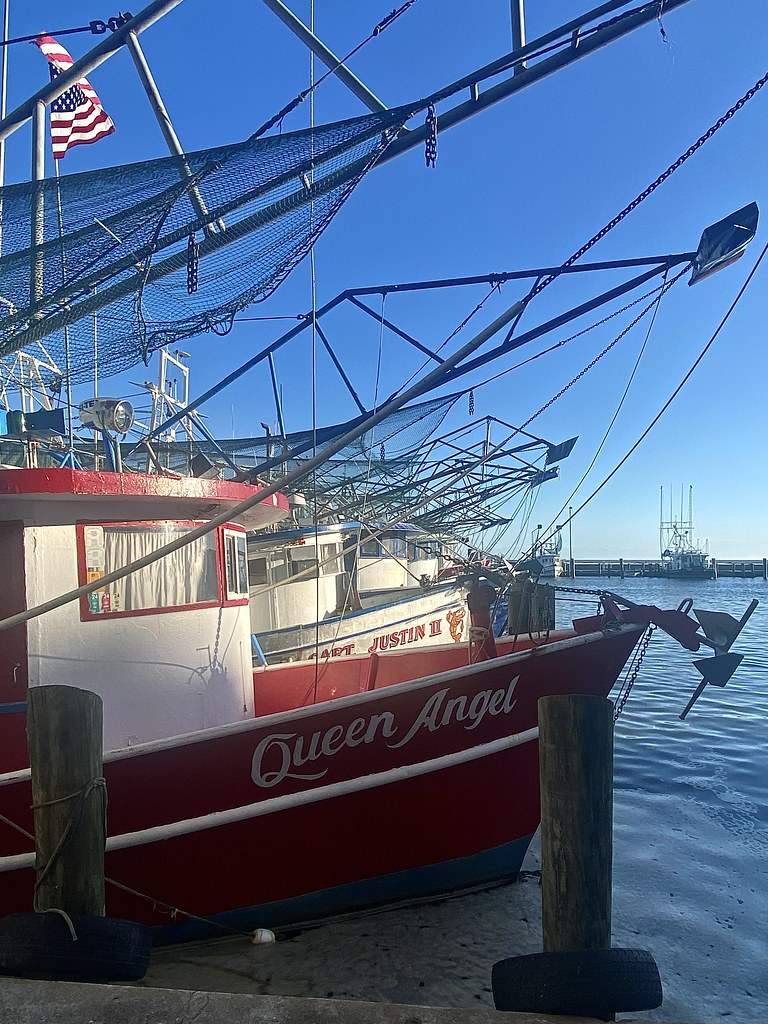 Biloxi fishing fleet in profile